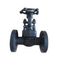 Forged Carbon/Stainless Steel Flange/Thread/Socket Welding Gate Valve for Water/Oil/Gas Globe Valve PVC Ball Valve